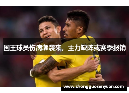 国王球员伤病潮袭来，主力缺阵或赛季报销