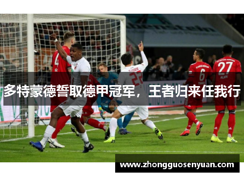 多特蒙德誓取德甲冠军，王者归来任我行
